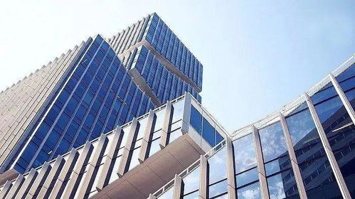 房太子視角 信息技術咨詢服務如何揭示中國房價高于發達國家的深層原因