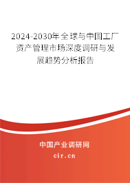 2024-2030年全球與工廠(chǎng)資產(chǎn)管理市場(chǎng)深度調(diào)研與發(fā)展趨勢(shì)分析報(bào)告